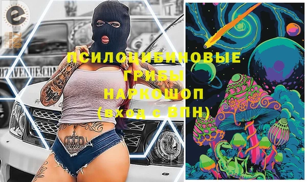 дмт Каменногорск