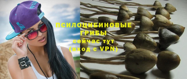 Альфа ПВП Инта